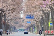 单县共建“花园城市” 北京这场议政会“百花齐放”